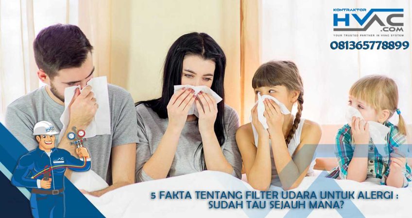 5 Fakta Tentang Filter Udara Untuk Alergi : Sudah Tau Sejauh Mana?